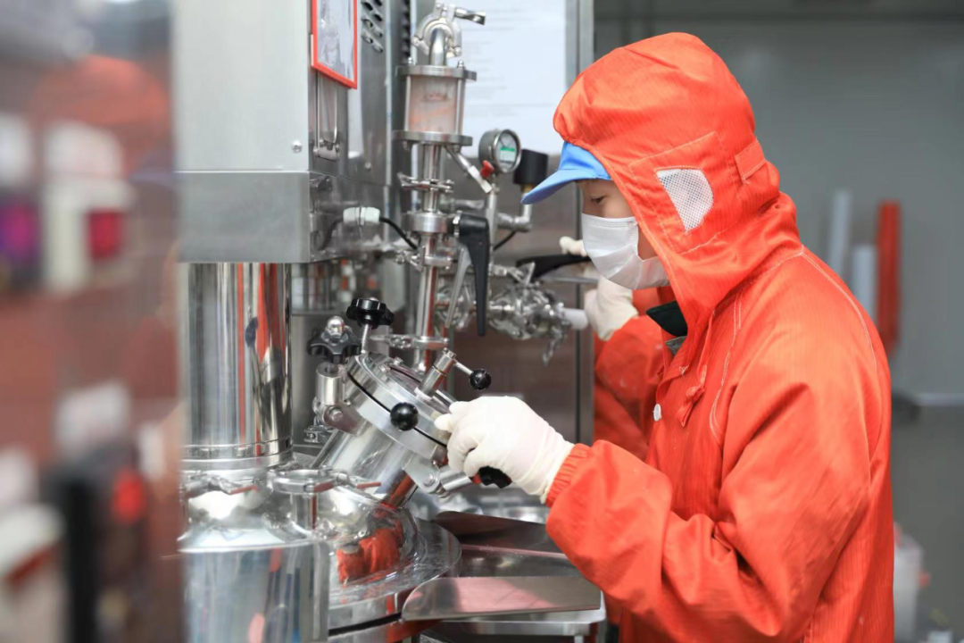 Genes de investigación grabados en el hueso